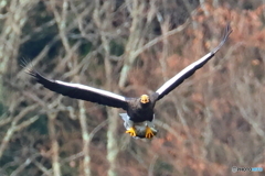 おばあちゃん2D4A1529