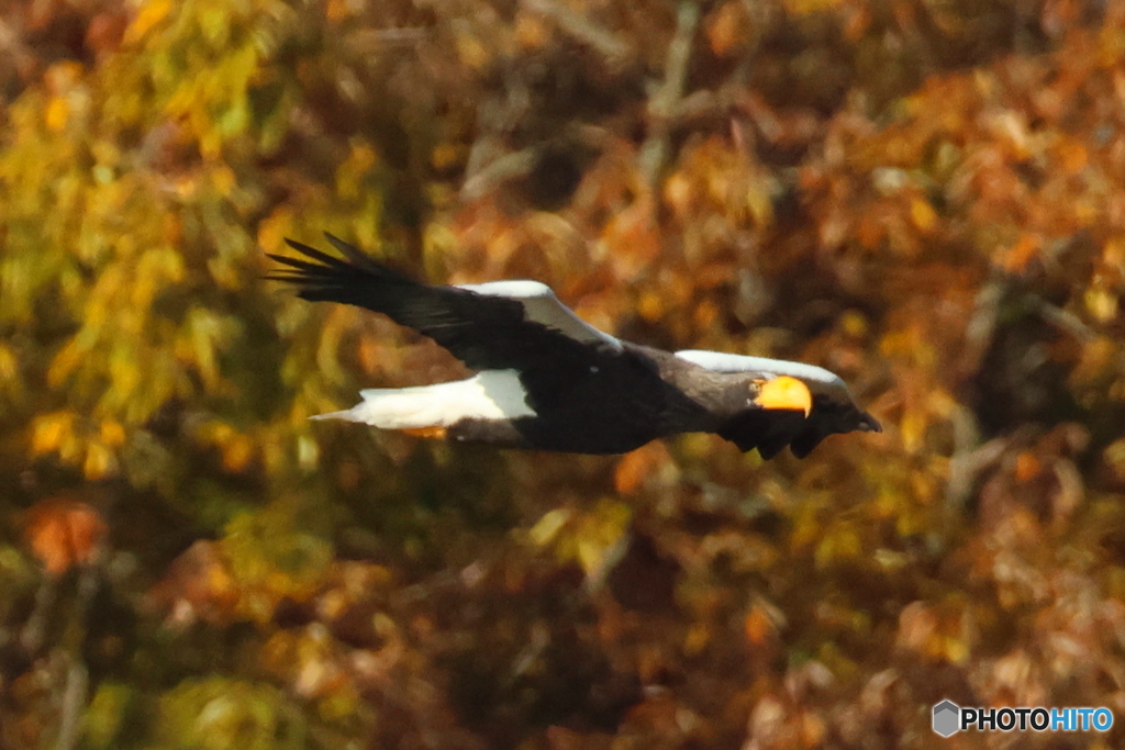 おばあちゃん29周年2D4A8564