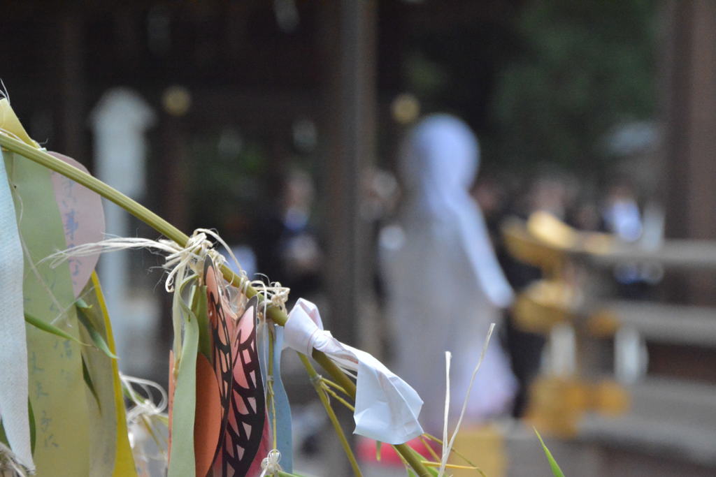 花嫁？♪