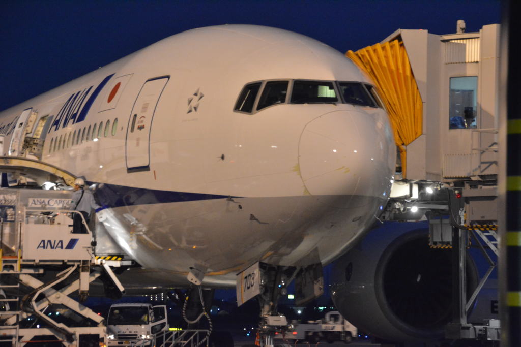 NIGHT  FLIGHT ♪