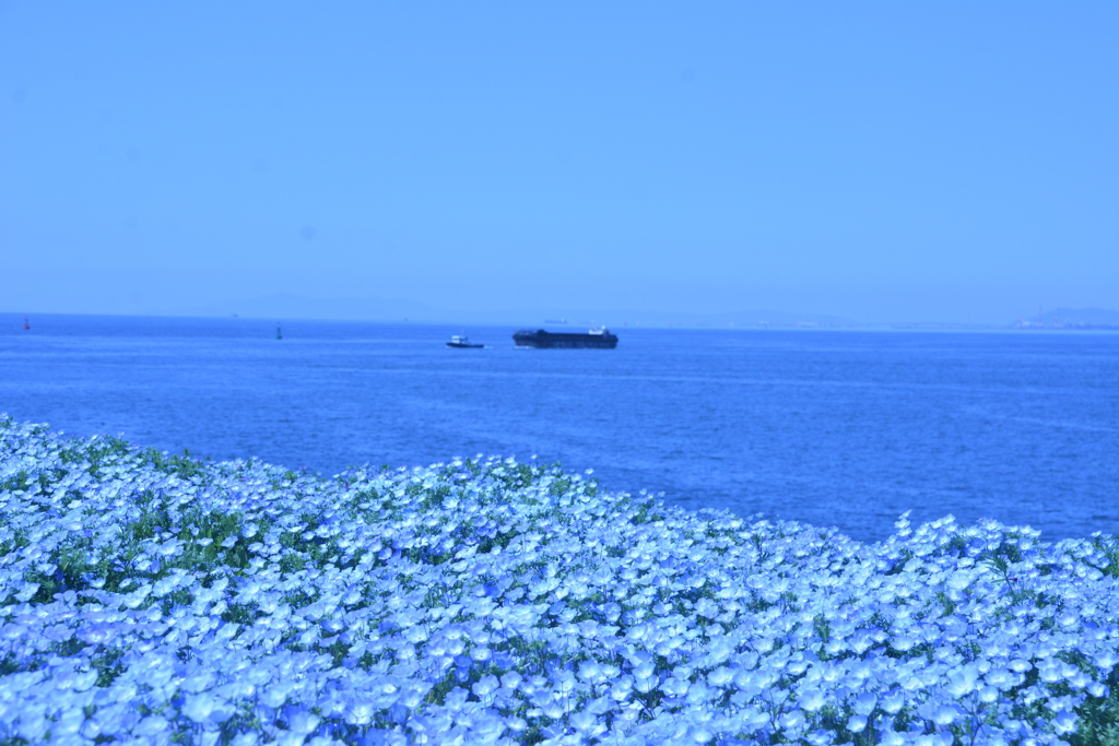 Blue Blue Blue♪