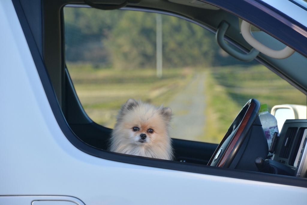 運転中♪