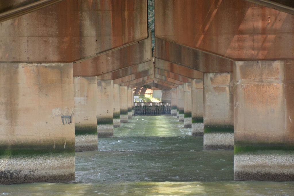 Under  the  bridge 