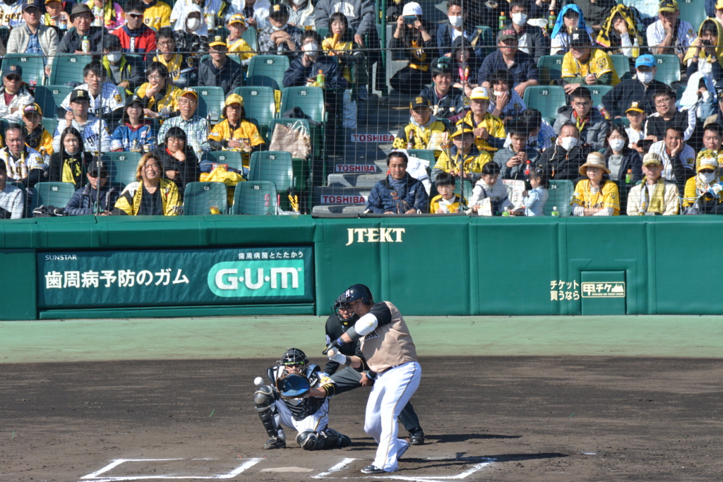 甲子園、久しぶり♪