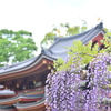 平等院鳳凰堂♪