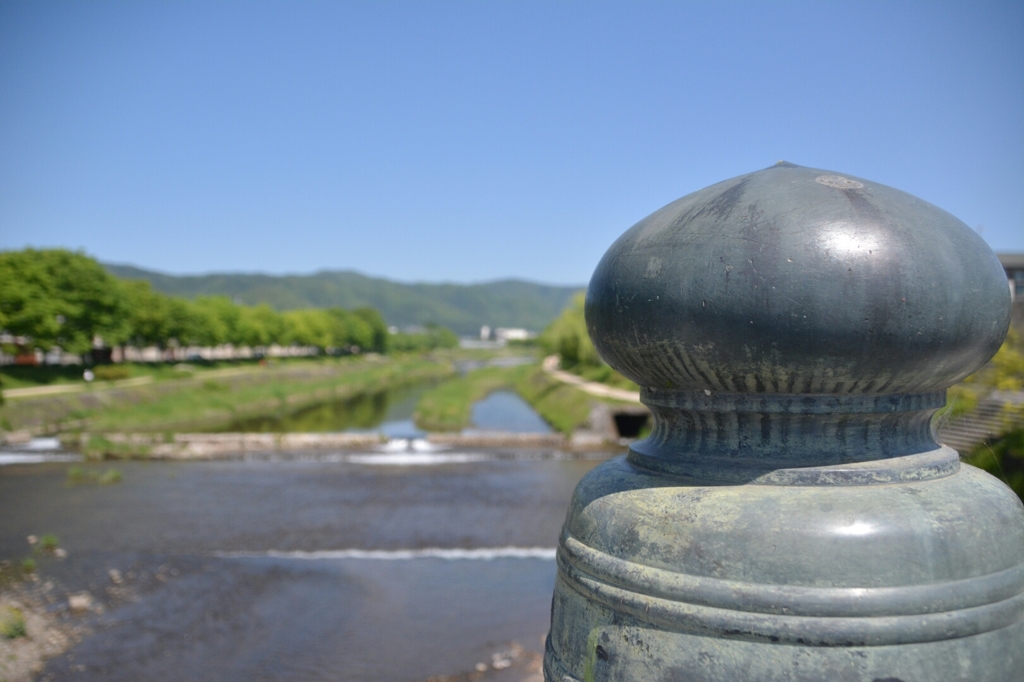 賀茂川