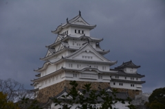 城