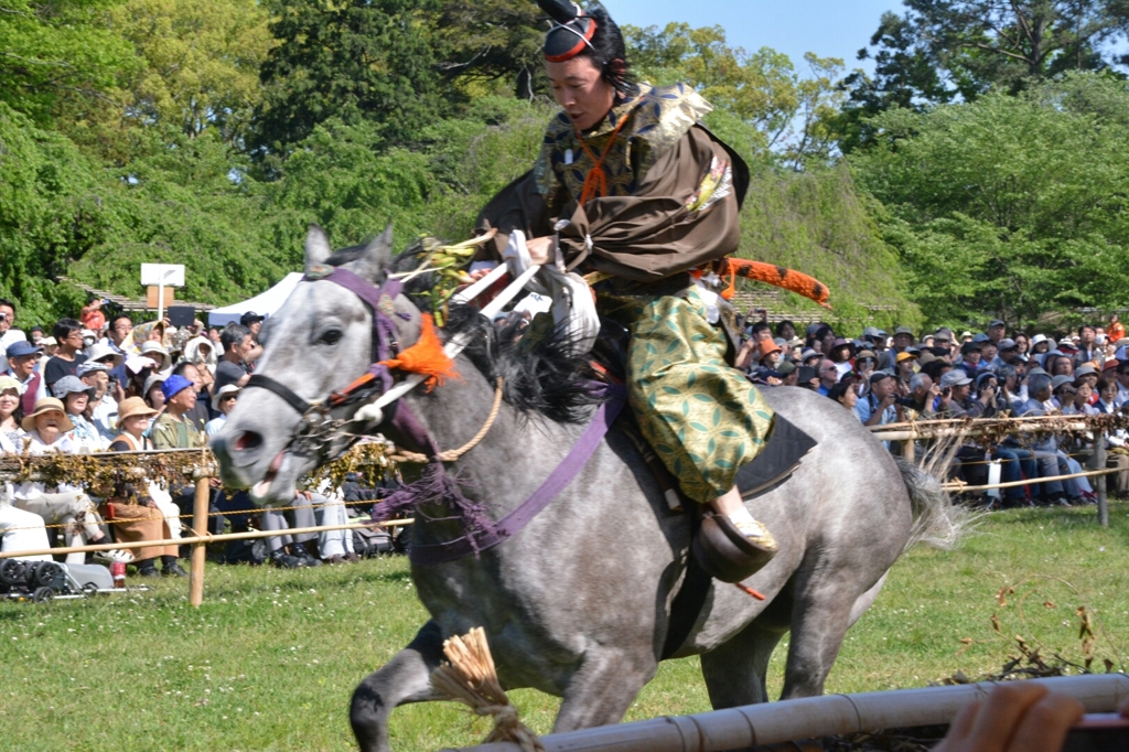 賀茂競馬