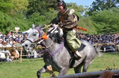 賀茂競馬