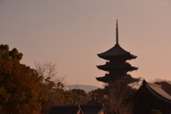 京都　東寺♪