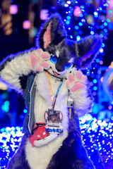 イルミポートレート