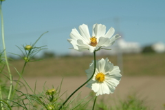FinePix S2 pro試写1