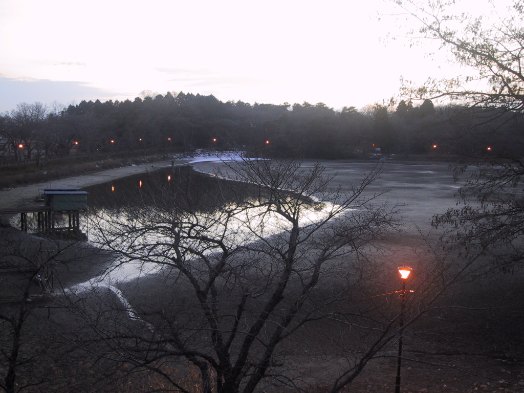 公園の池は水が抜かれてる