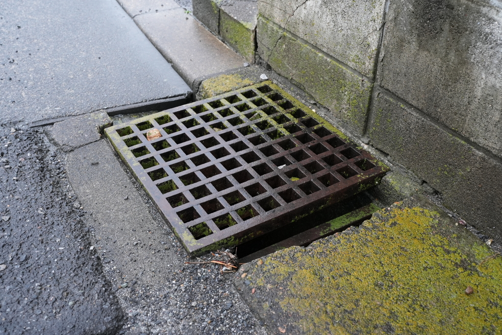 雨の日の側溝