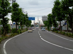 そこら辺の道路