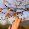 そっと…