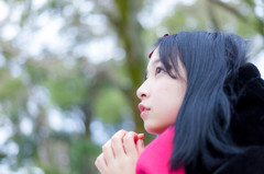 冬