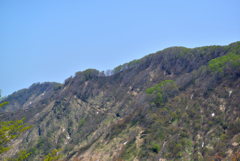 鋸山