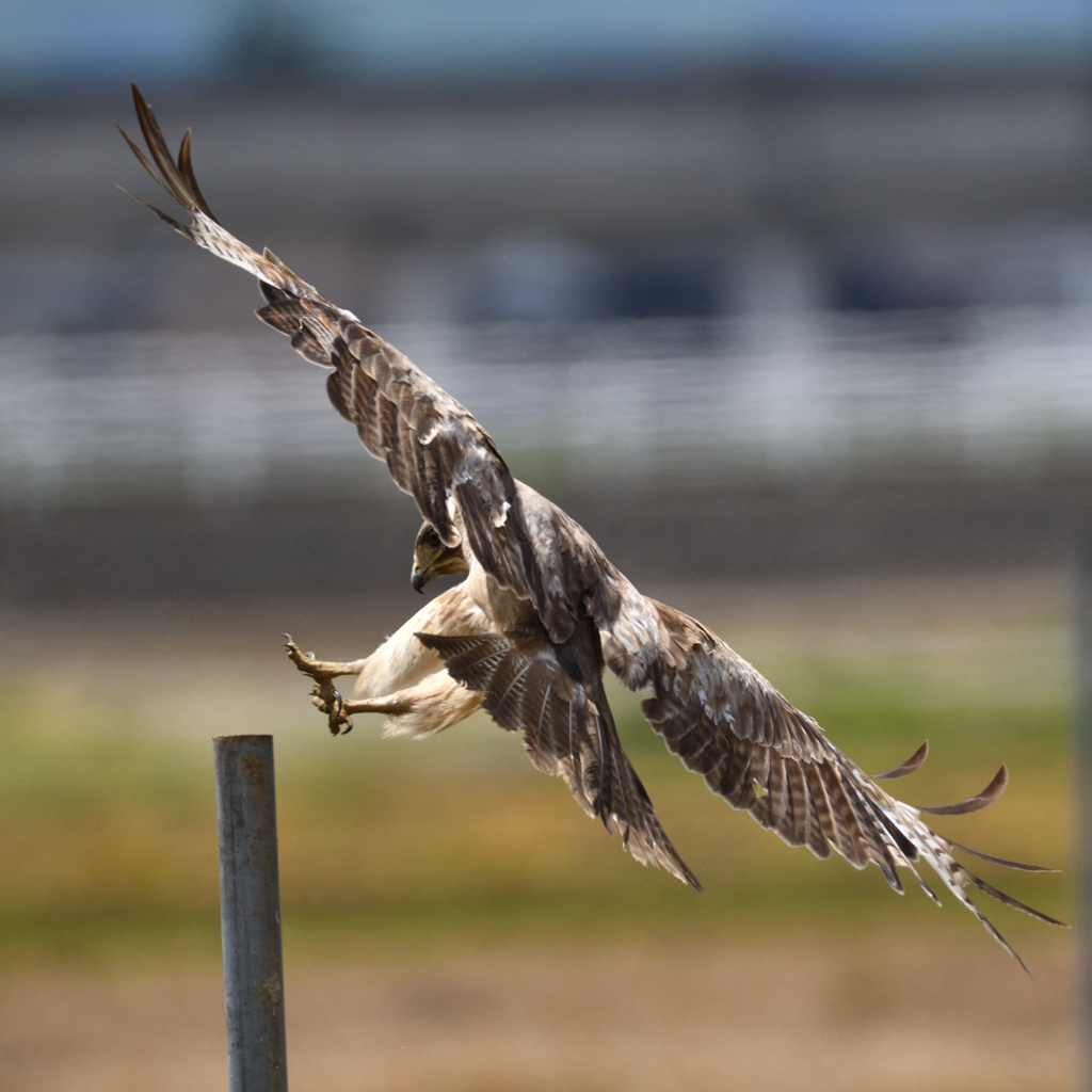 Landing