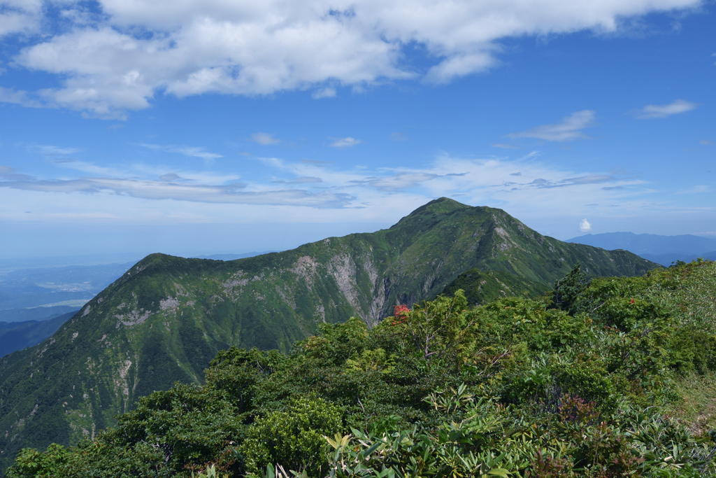 中ノ岳から望む駒ヶ岳