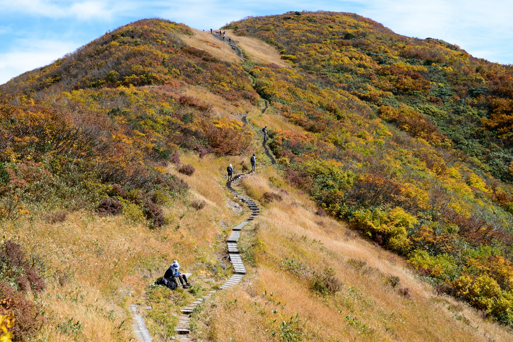 山頂付近の木道
