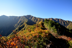 前嵓から荒沢岳頂上を望む