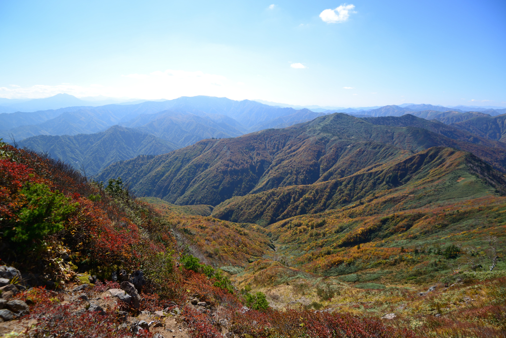 荒沢岳山頂から