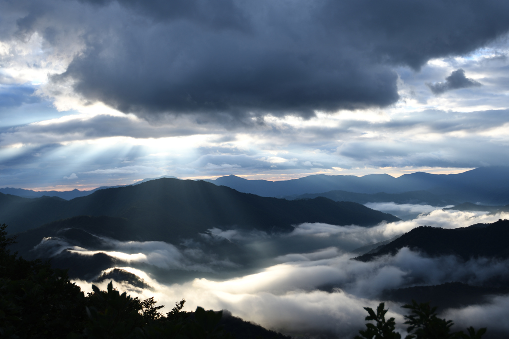 朝陽と雲海