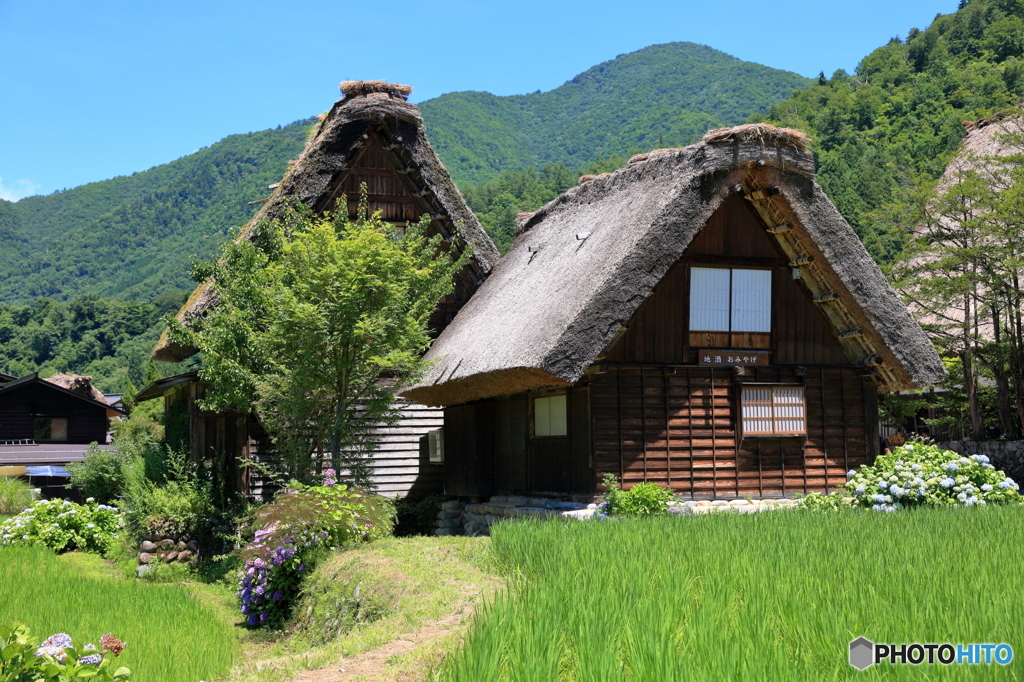 白川郷