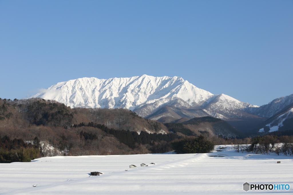 蒜山