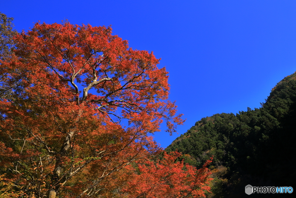 高の瀬峡に行く途中