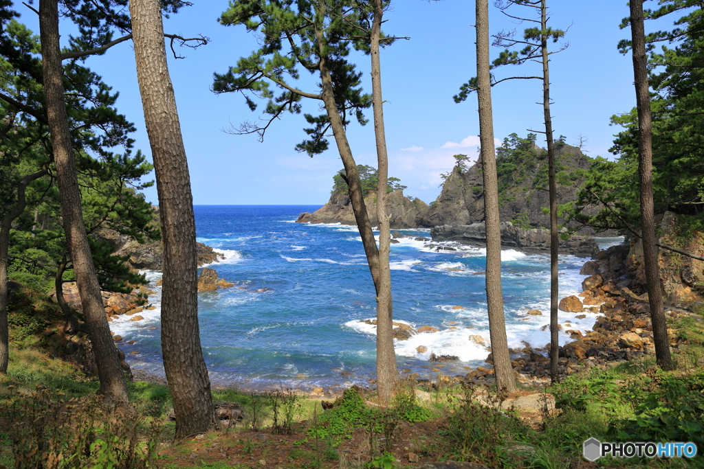 隠岐の島