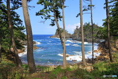 隠岐の島