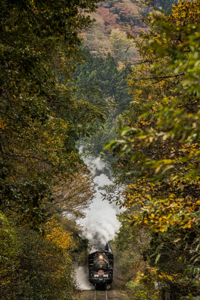 DSC_2022