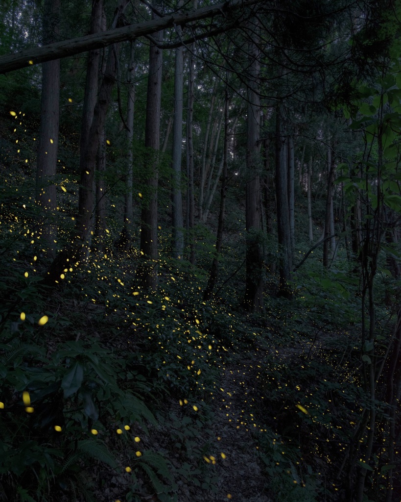 いつまでも残したいこの景色