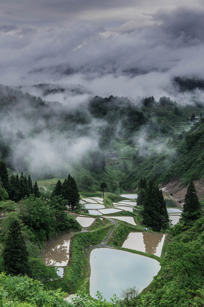 山古志の棚池