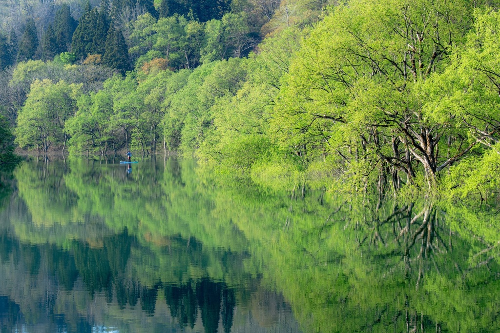 reflection