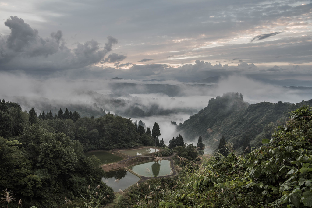 山古志の棚池