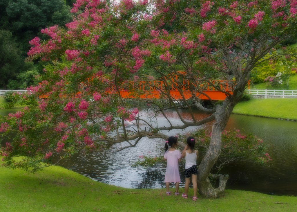 あの頃