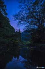 昔も今も・・・命の灯