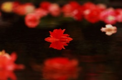 花灯篭