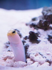 どうも〜