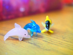 海の人気者