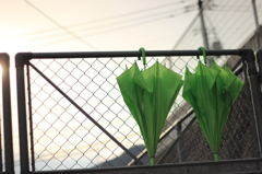 雨上がり、傘二つ、、