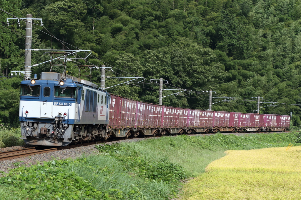 EF64　山男の勇姿