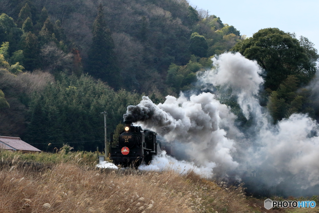 賀正　SL津和野稲荷号