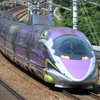 500　TYPE  EVA