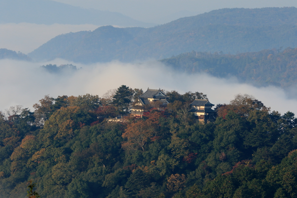 天空の城　備中松山城