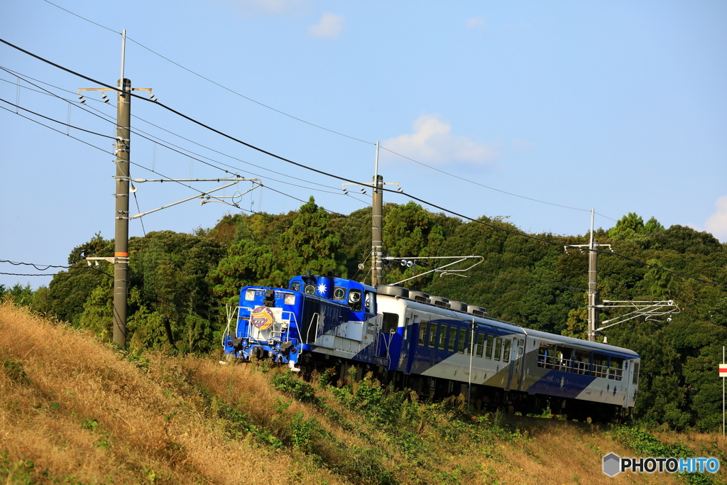 朝日を浴び　山陰本線を行くおろち号