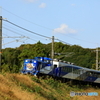 朝日を浴び　山陰本線を行くおろち号